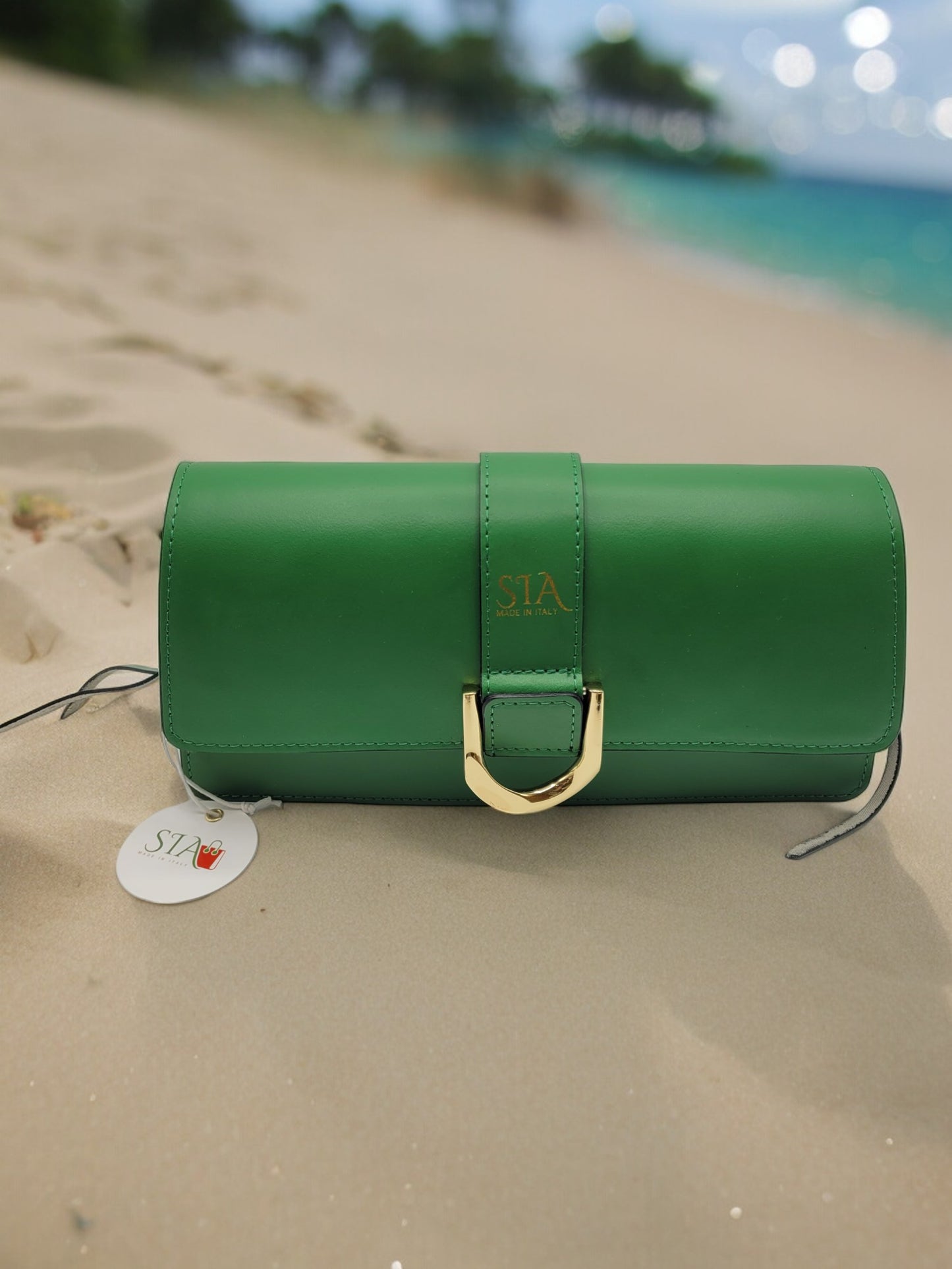 Elegant Green Clutch